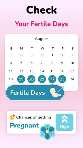 Fertility calendar showing August with highlighted fertile days 19-23 and high pregnancy chances indicator