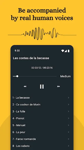 French audiobook player with chapter navigation, playback controls and human voice narration for learning