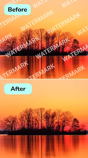 Live video object removal: news broadcast with cat photo overlay removed in real-time using mobile editing app